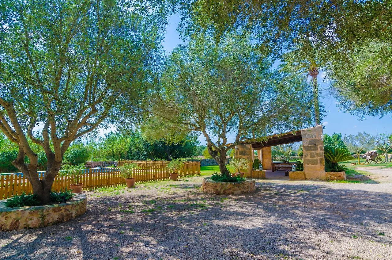 Villa Cortera 3 Llucmajor  Spain