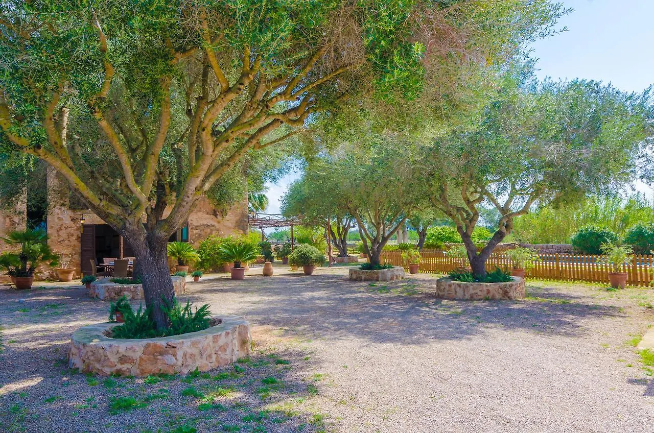 Cortera 3 Llucmajor  Villa Llucmajor (Mallorca)